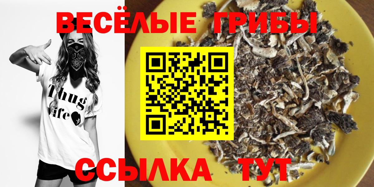 Галлюциногенные грибы мицелий Северск