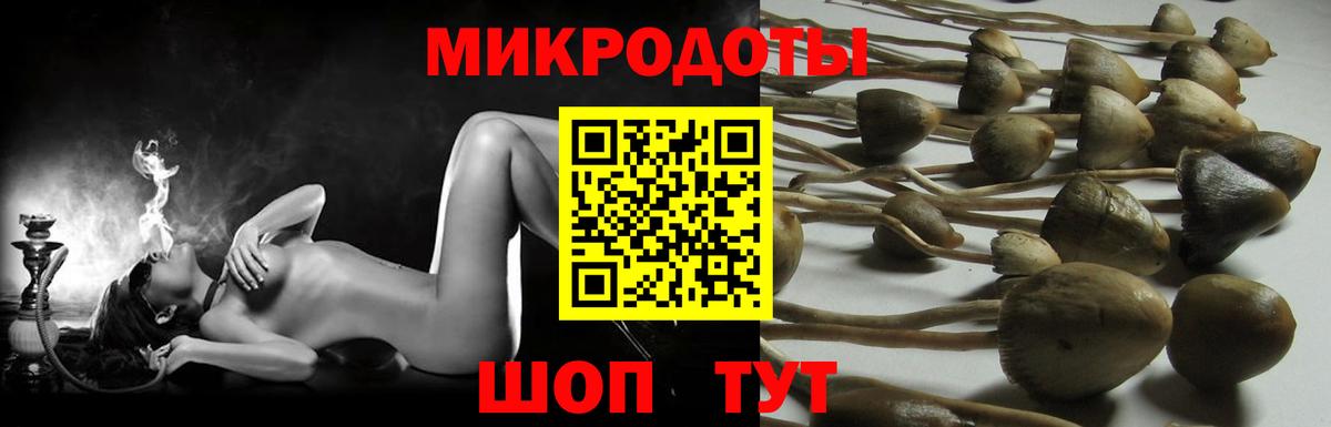 цена наркотик  Вход с VPN  Псилоцибиновые грибы ЛСД  Северск  Псилоцибиновые грибы прущие грибы 